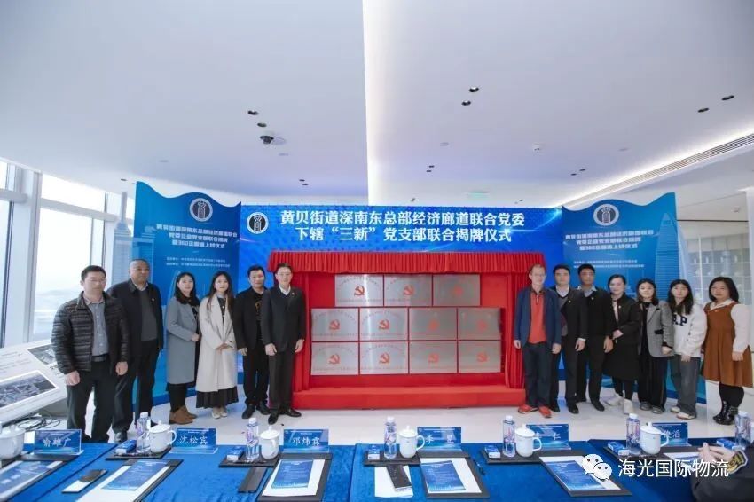 熱烈祝賀海光黨支部成立揭牌儀式圓滿舉行！